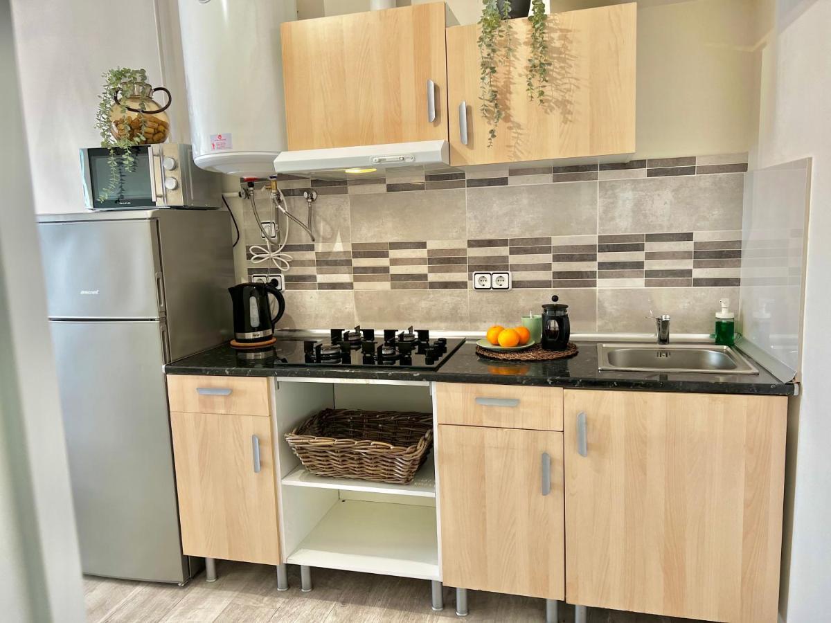 Amazing With Terrace Apartament